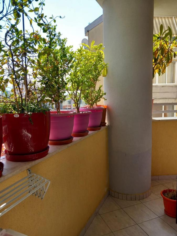 Holiday Center Apartment Shkodër Eksteriør bilde
